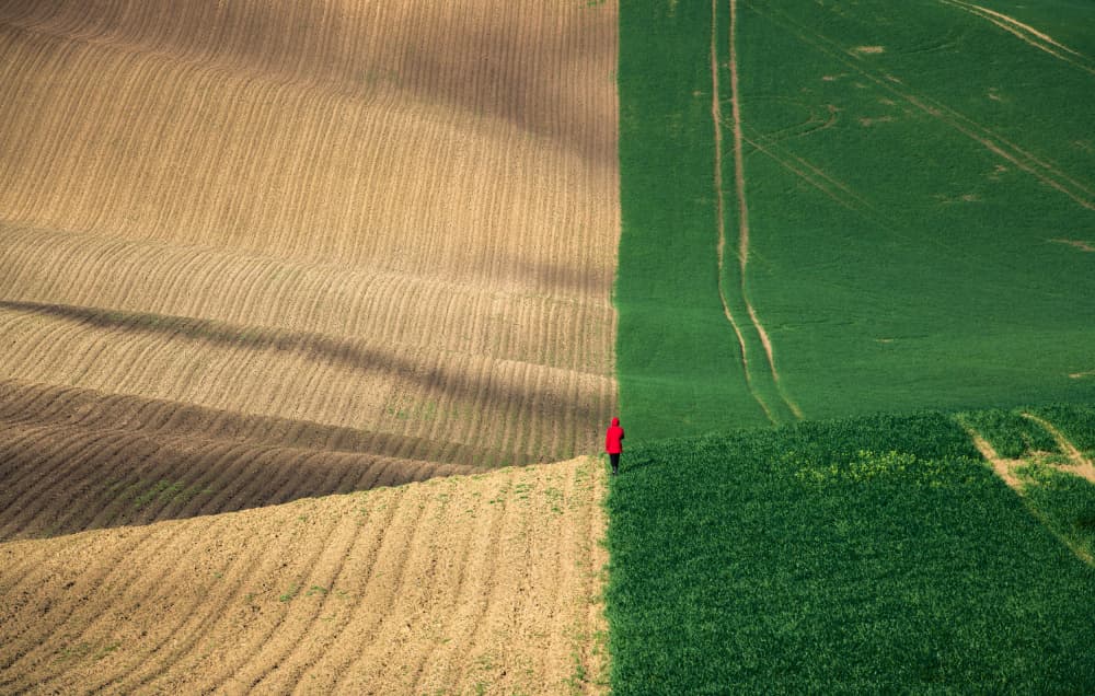 Red Coat Green Fields by Haim Rosenfeld — canvas wall art
