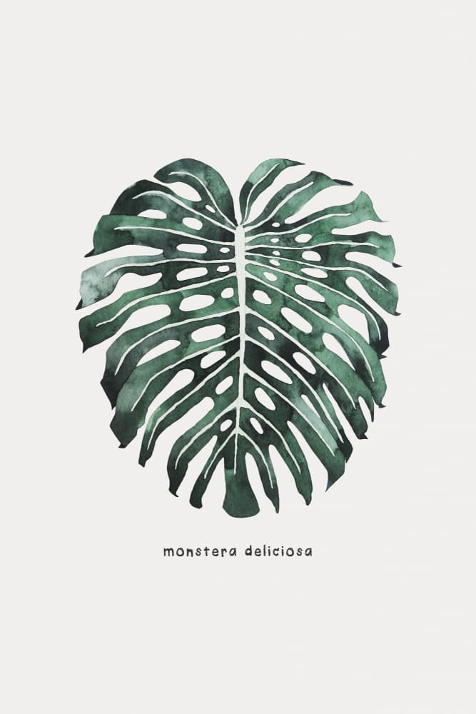 Monstera Leaf Watercolor by Karen Menzenbach — canvas wall art