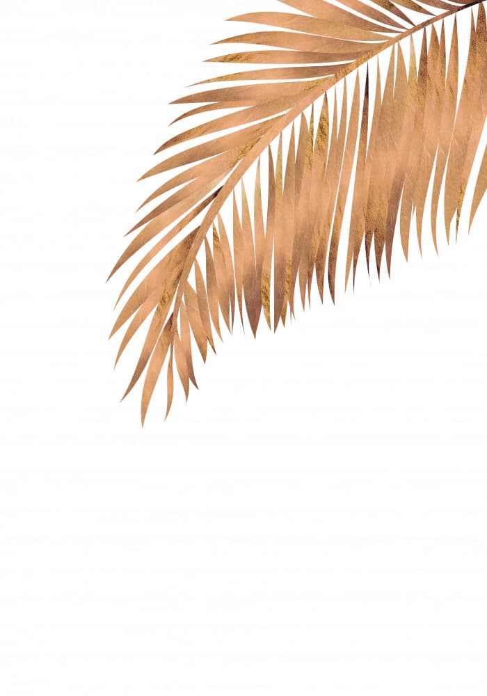 Golden Tropical Palm by Sarah Manovski — canvas wall art