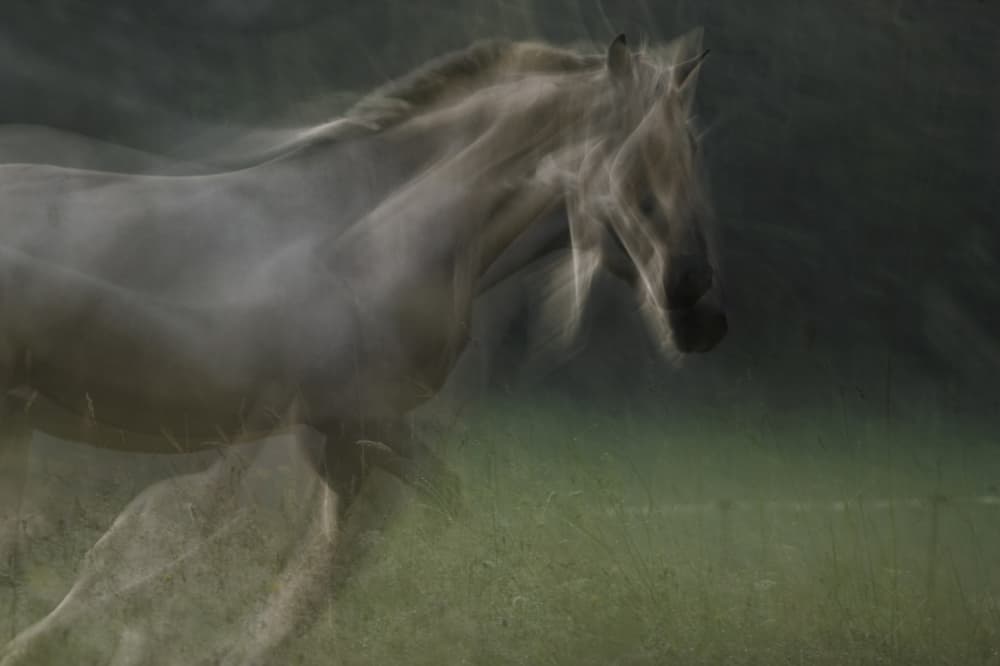 Spirit Horse Running by Milan Malovrh — canvas wall art