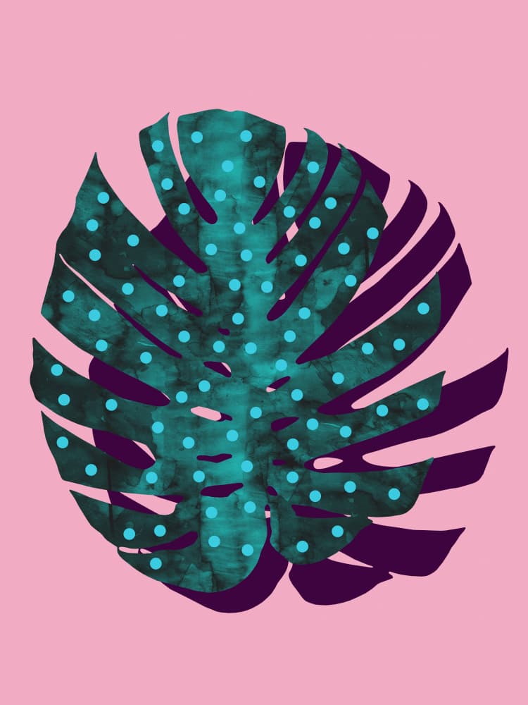 Dotted Monstera Pink by Vitor Costa — canvas wall art