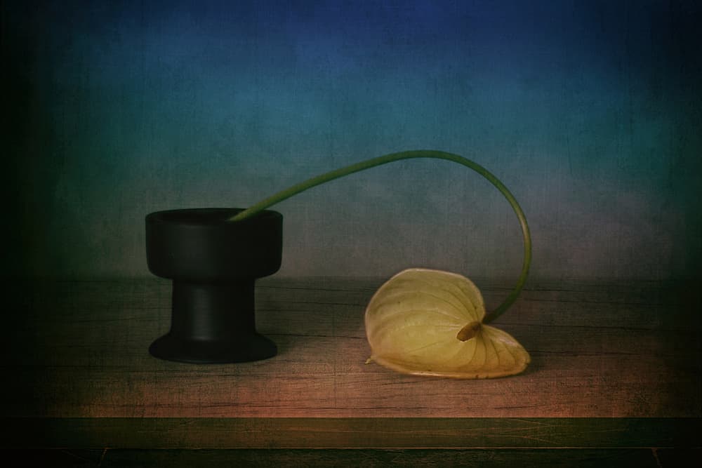 Elegant Anthurium Still Life by Elena Arjona — canvas wall art
