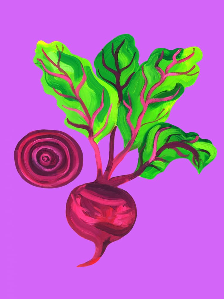 Vibrant Garden Beet by Alice Straker — canvas wall art