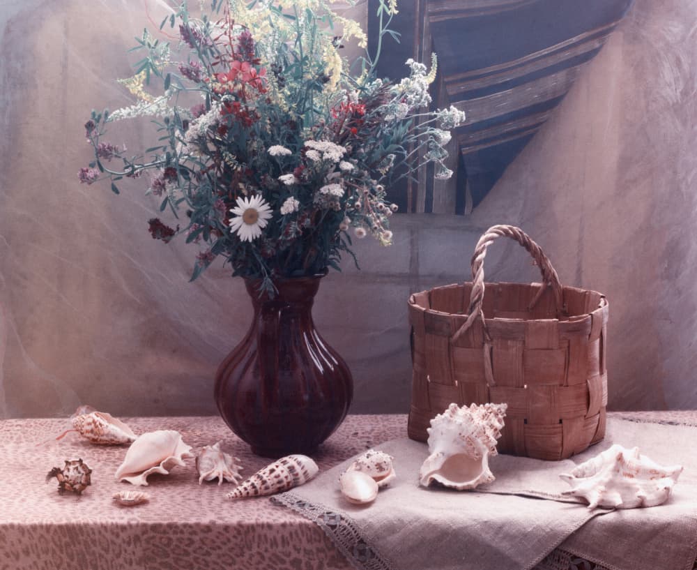 Wildflowers and Seashells Still Life by UstinaGreen — canvas wall art