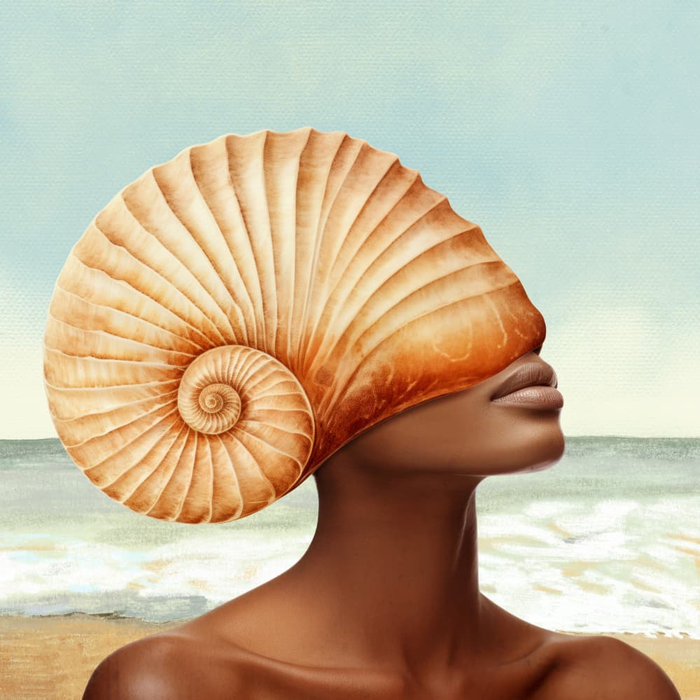 Coastal Shell Beauty by Marja van den Hurk — canvas wall art