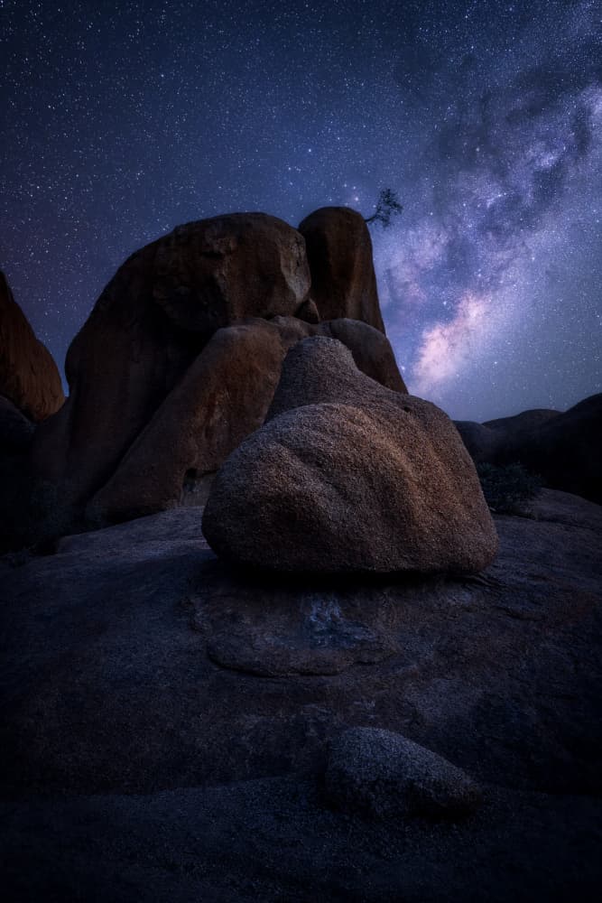 Milky Way Desert Night by Willa Wei — canvas wall art