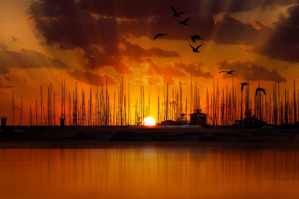 Golden Marina Sunset by Nicodemo Quaglia — canvas wall art
