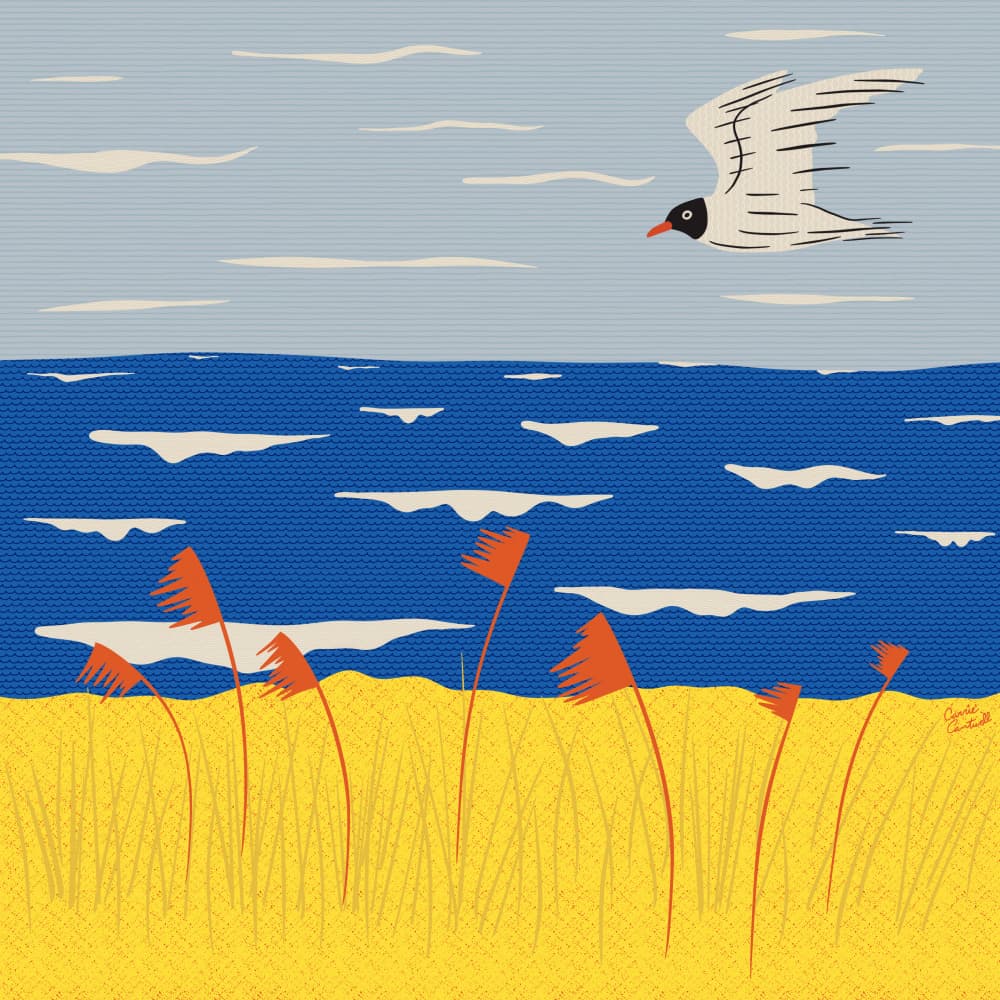Coastal Breeze Seagull by Carrie Cantwell — canvas wall art