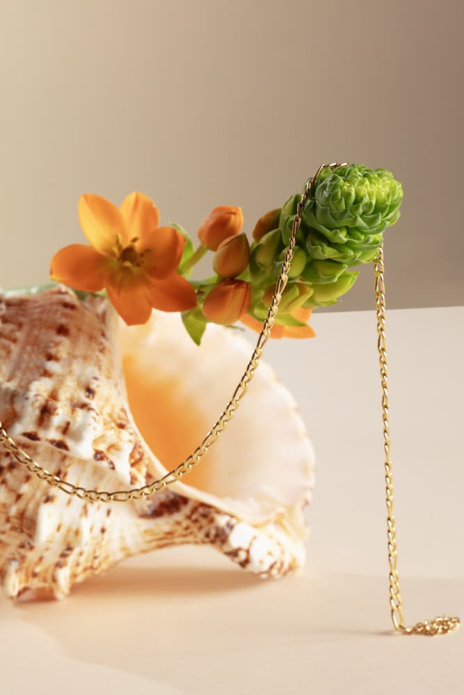 Golden Seashell Bloom by Julia Ramiro — canvas wall art