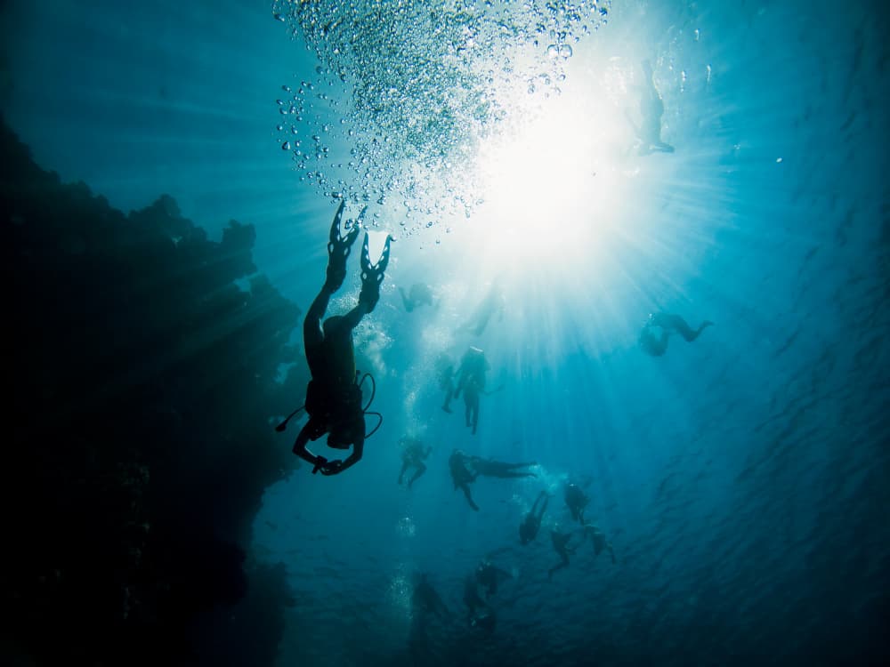 Sunlit Underwater World by Ido Meirovich — canvas wall art