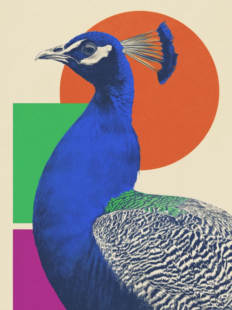 Vibrant Peacock Profile by Andreas Magnusson — canvas wall art