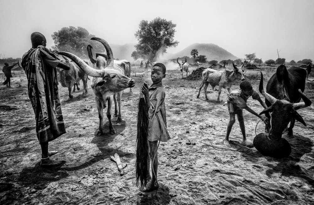 Dinka Men and Cattle by Joxe Inazio Kuesta Garmendia — canvas wall art