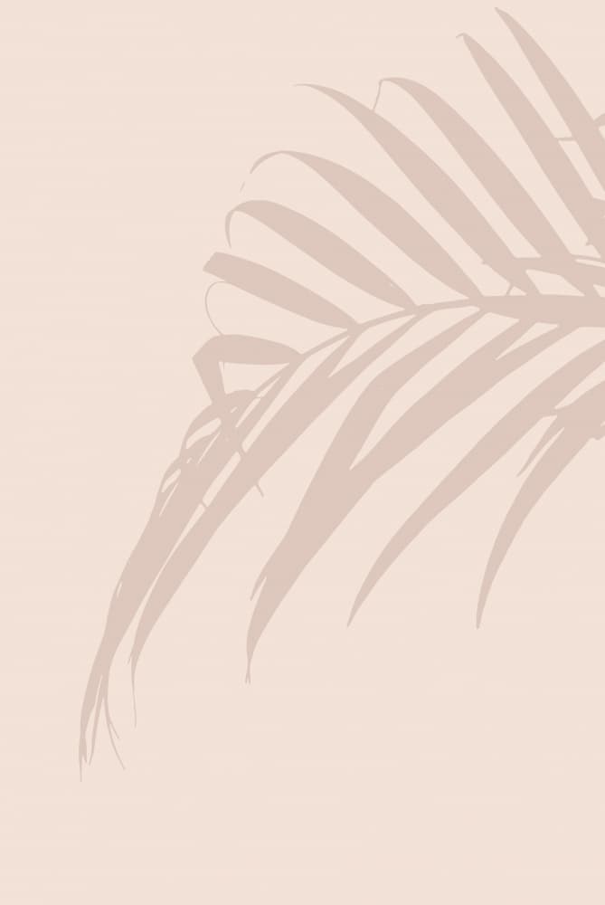 Soft Palm Shadow by Oju Design — canvas wall art