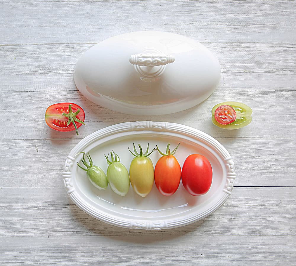 Fresh Tomato Gradient by Fangping Zhou — canvas wall art