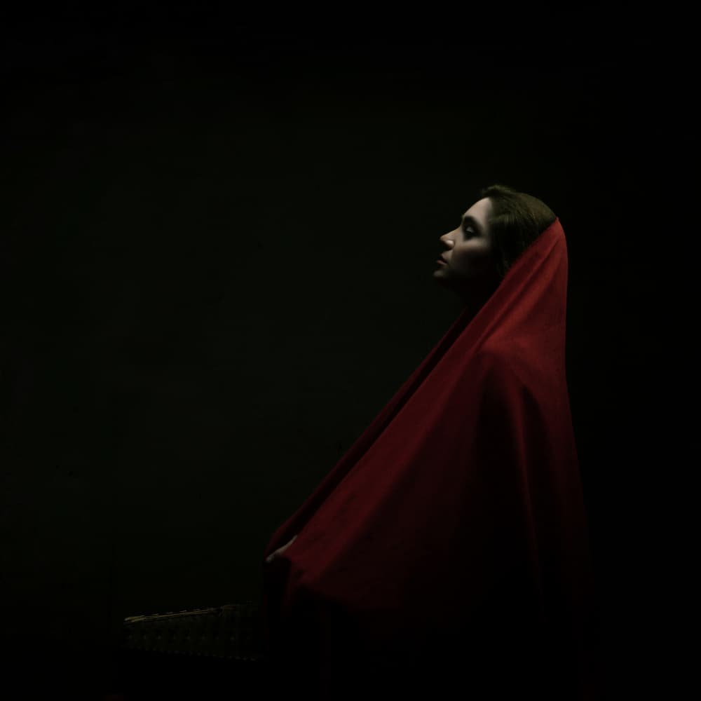 Serene Profile In Red by Moein Hasheminasab — canvas wall art