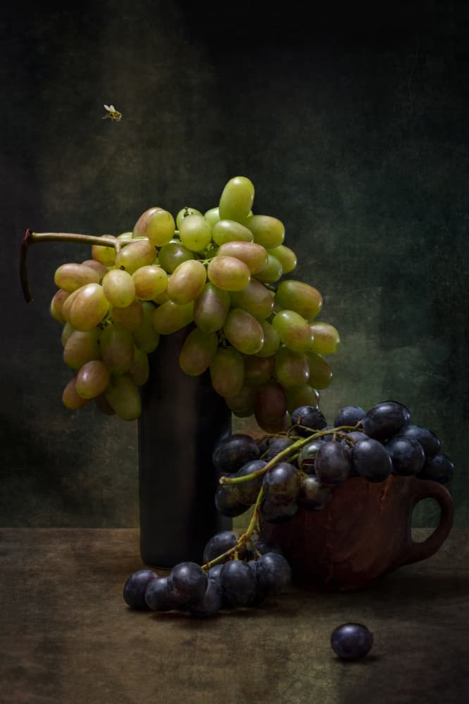 Dark Grapes and Bee by Brig Barkow — canvas wall art