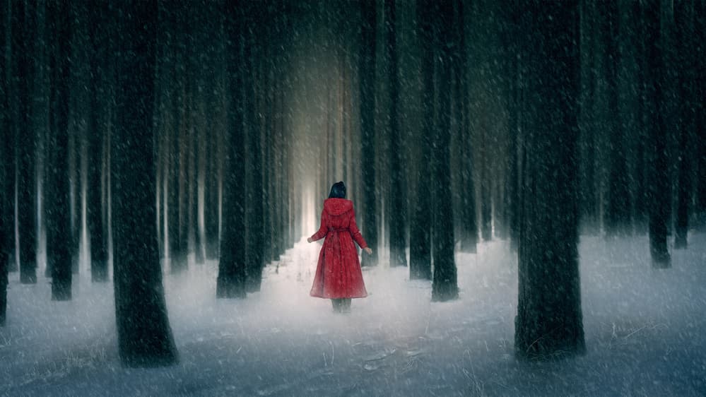Red Coat Winter Path by Bingo Z — canvas wall art