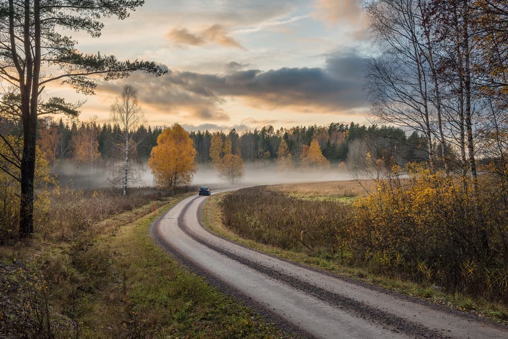 Misty Autumn Road by Christian Lindsten — canvas wall art