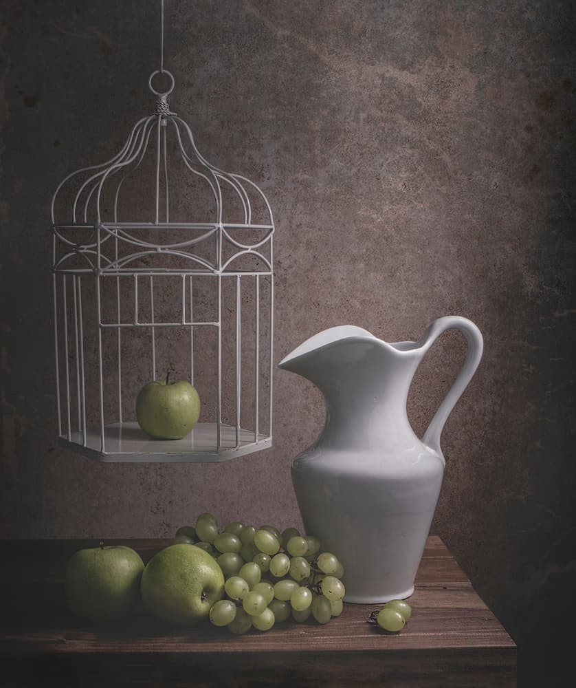 Rustic Birdcage Still Life by Margareth Perfoncio — canvas wall art