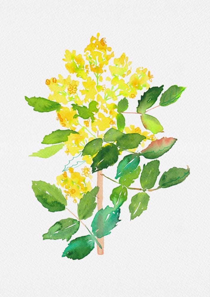 Yellow Floral Watercolor by Kata Botanical — canvas wall art