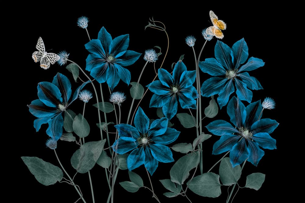 Ethereal Blue Garden by Lydia Jacobs — canvas wall art