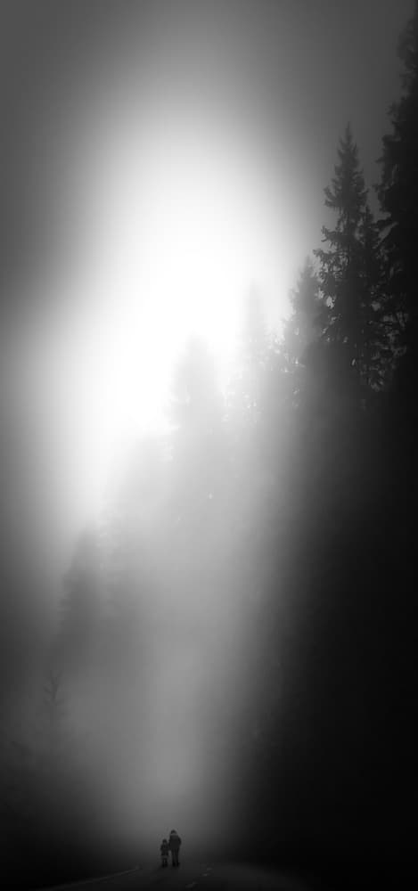 Silhouettes in Misty Forest by Nic Keller — canvas wall art