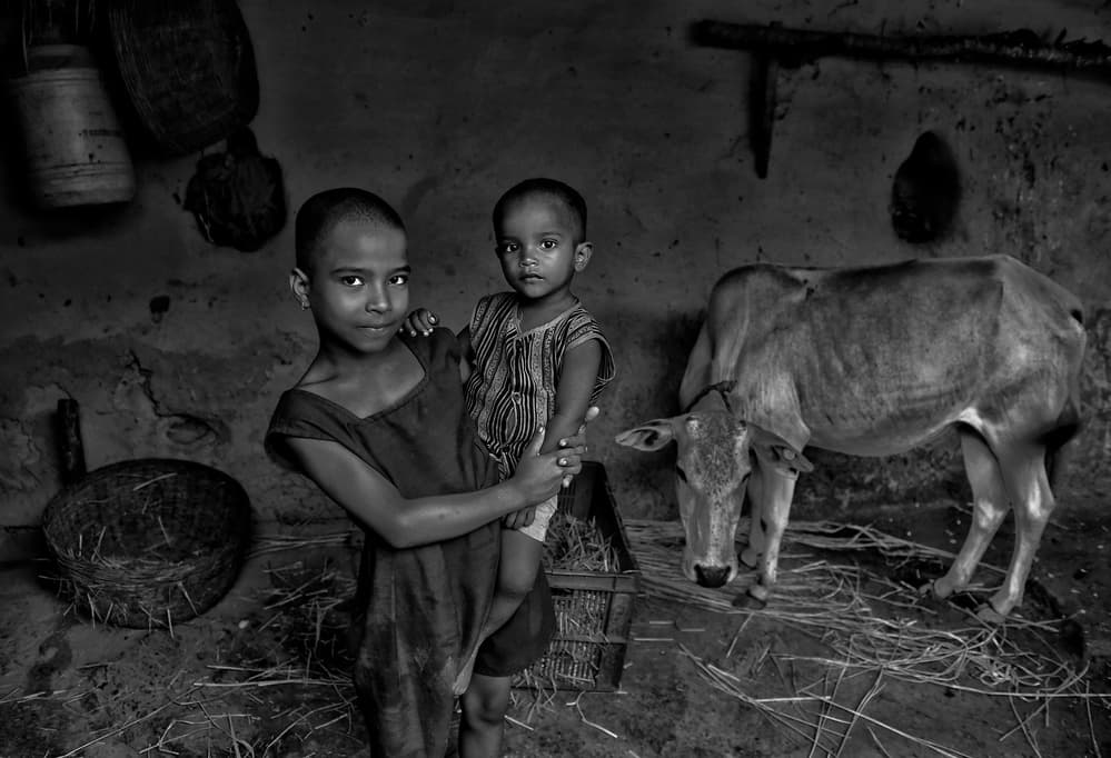 Children And The Calf by Avishek Das — canvas wall art