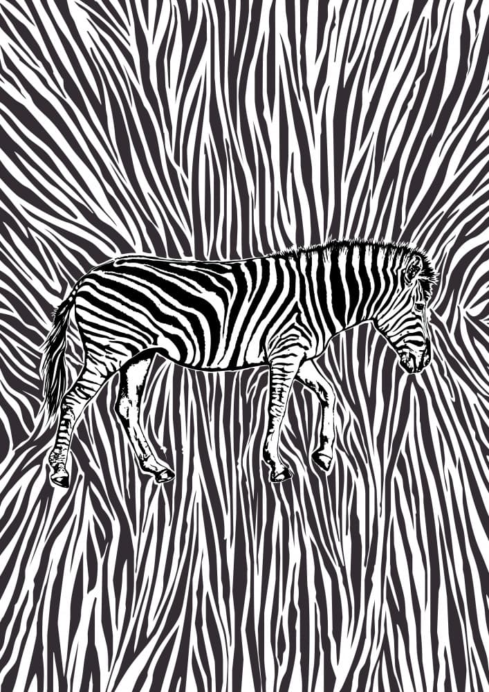 Zebra Amidst Stripes by Carlo Kaminski — canvas wall art