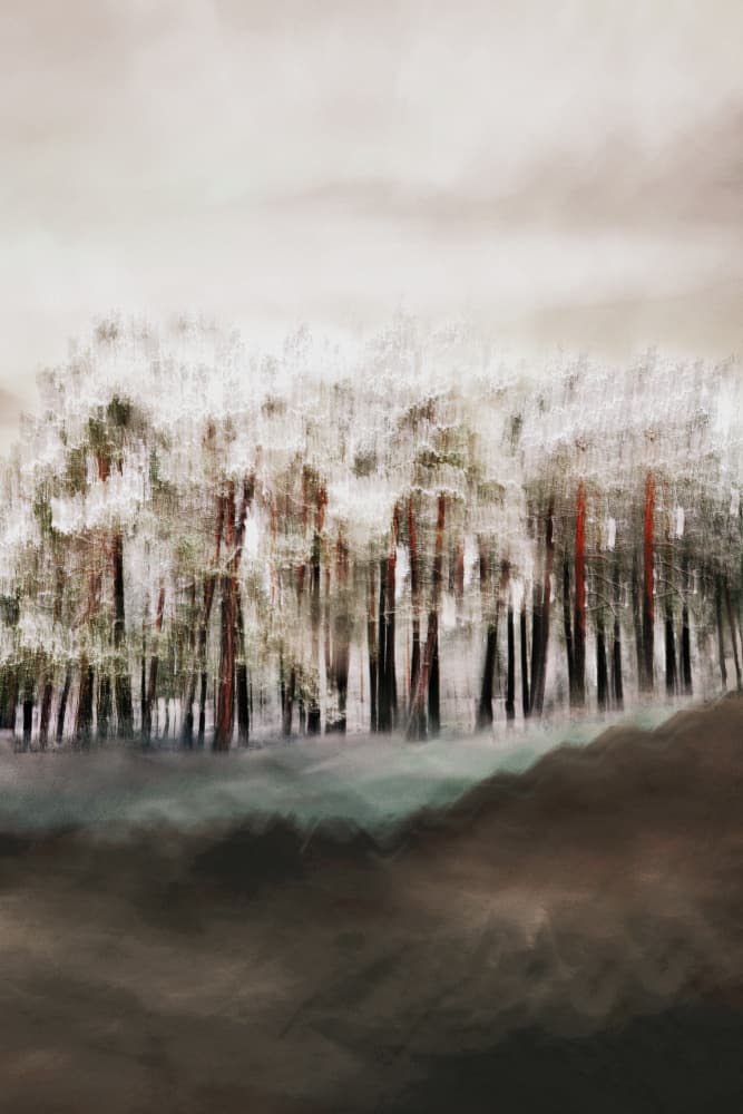 Misty Forest Serenity by Christina Sillen — canvas wall art