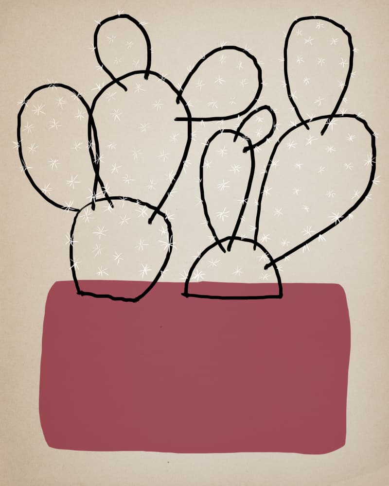 Potted Desert Cacti by Diana Jahns — canvas wall art