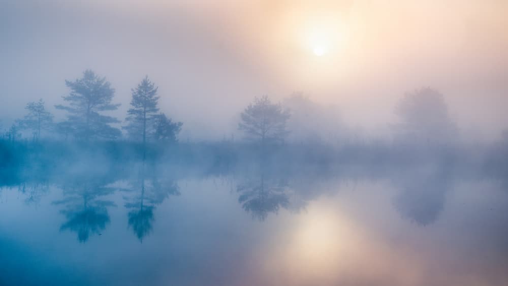 Misty Lake Sunrise by Ulrike Eisenmann — canvas wall art