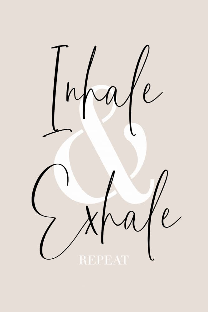 Inhale Exhale Repeat by Melanie Viola — canvas wall art