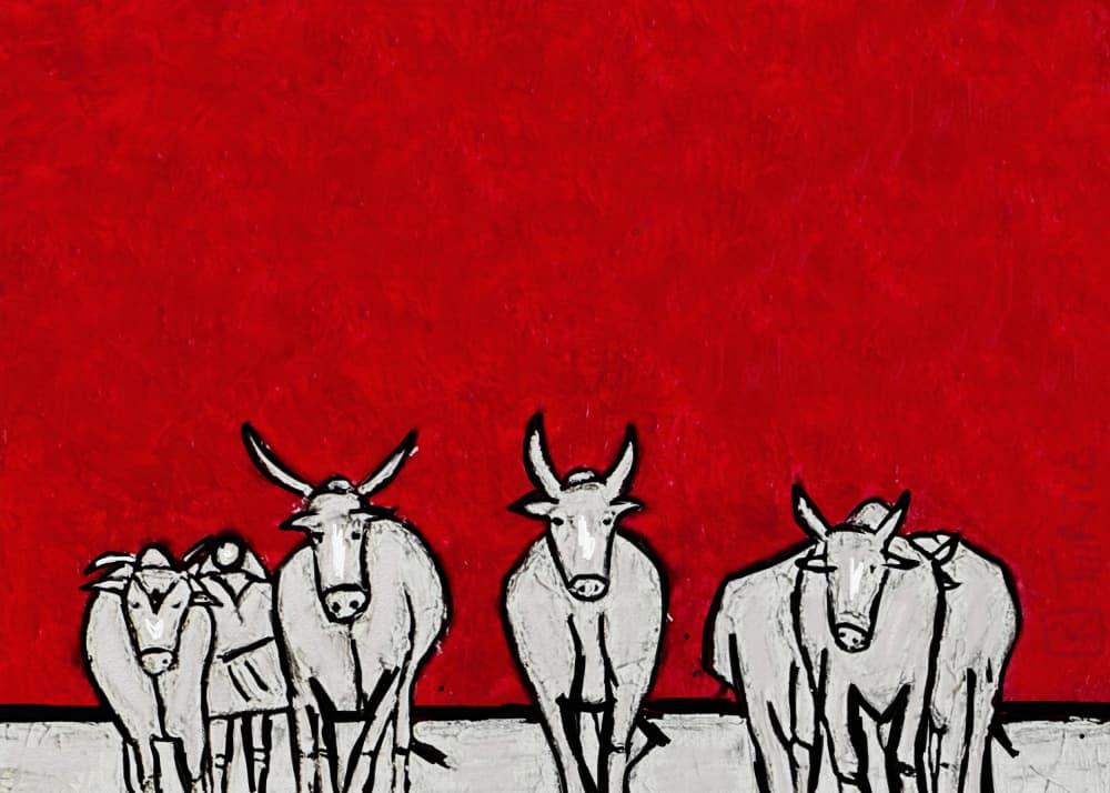 Bold White Cattle by Robert Thirtle — canvas wall art