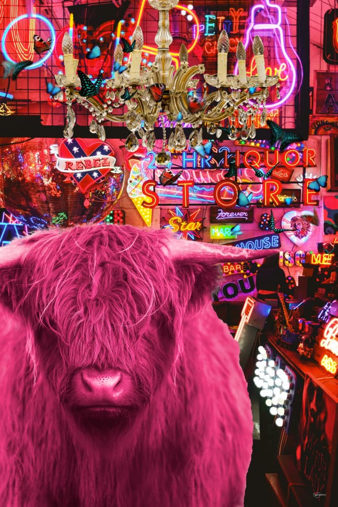 Pinkie Moo Cow went to the Disco by Sue Skellern — canvas wall art
