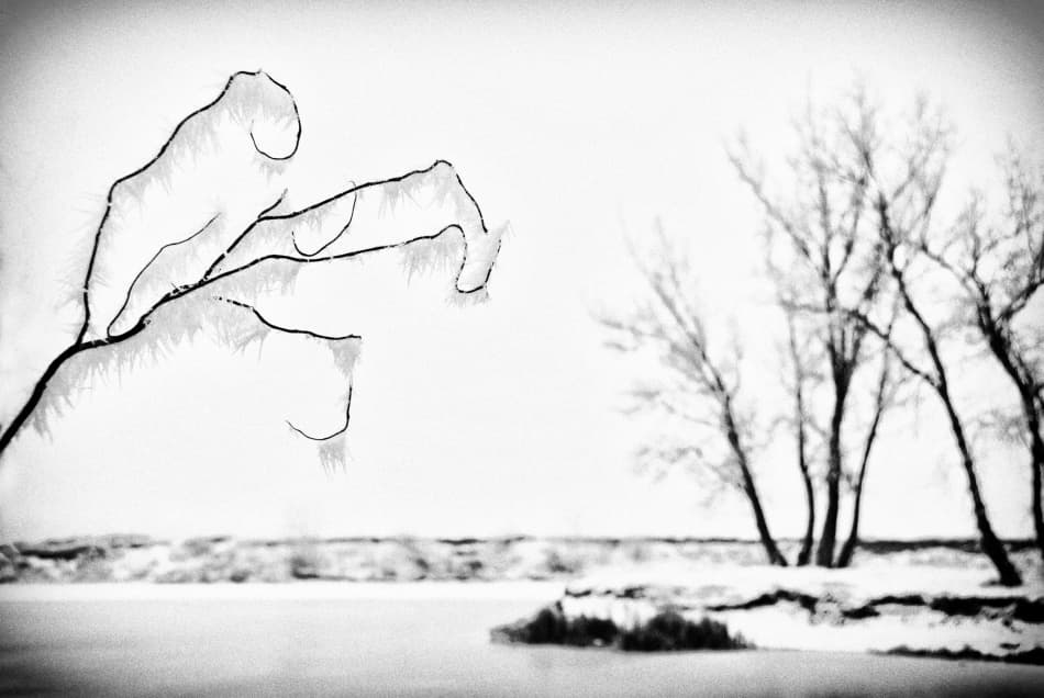 Delicate Winter Serenity by Codrin Lupei — canvas wall art