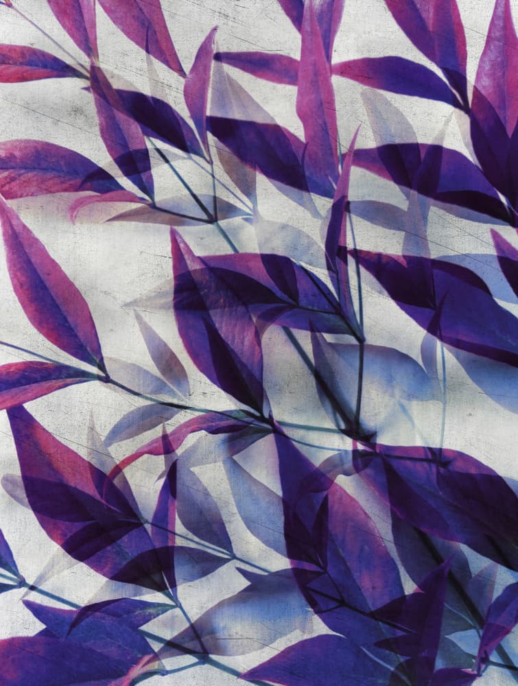 Purple Leaf Layers by Angelo Cerantola — canvas wall art