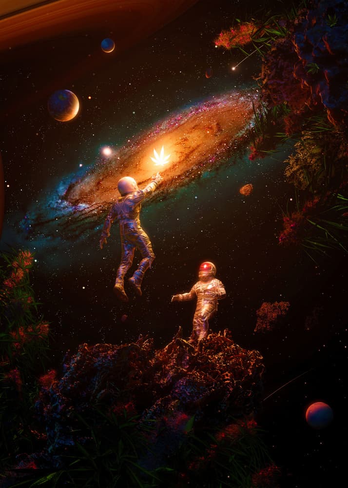 Astronauts Cosmic Leaf by Nicebleed — canvas wall art