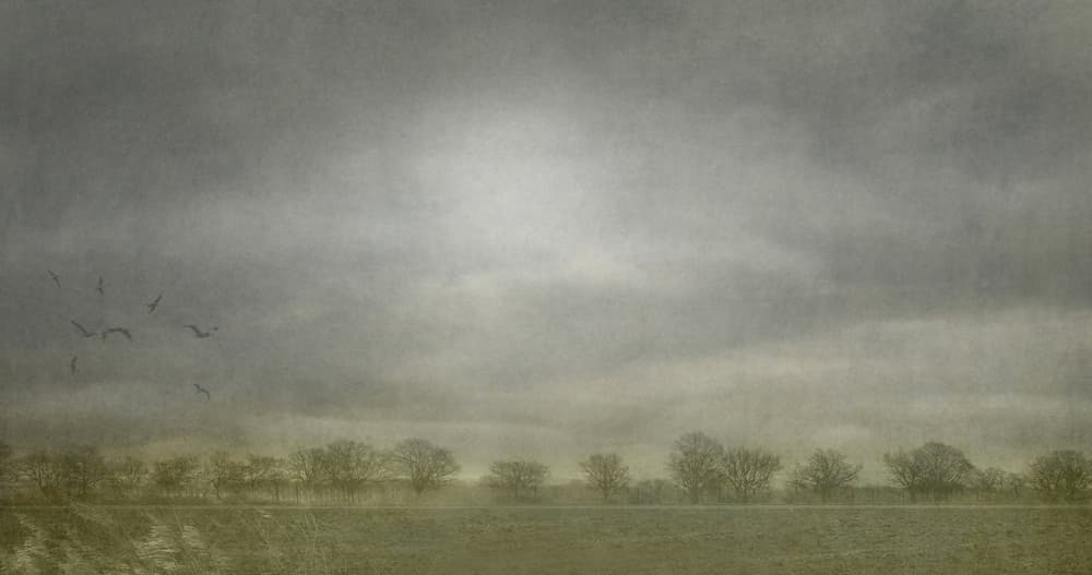 Misty Winter Sky Birds by Yvette Depaepe — canvas wall art
