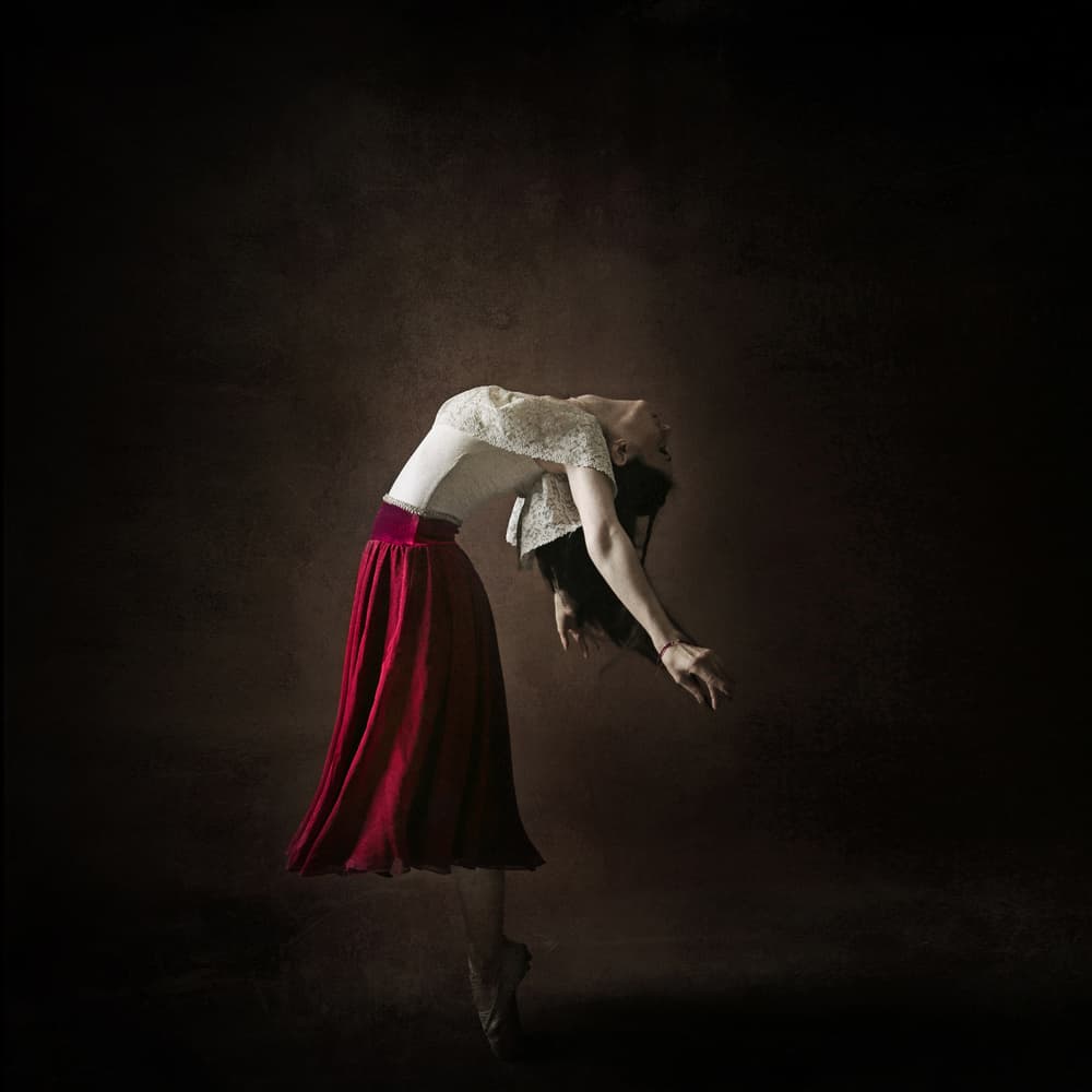 Elegant Ballet Dancer by Moein Hasheminasab — canvas wall art