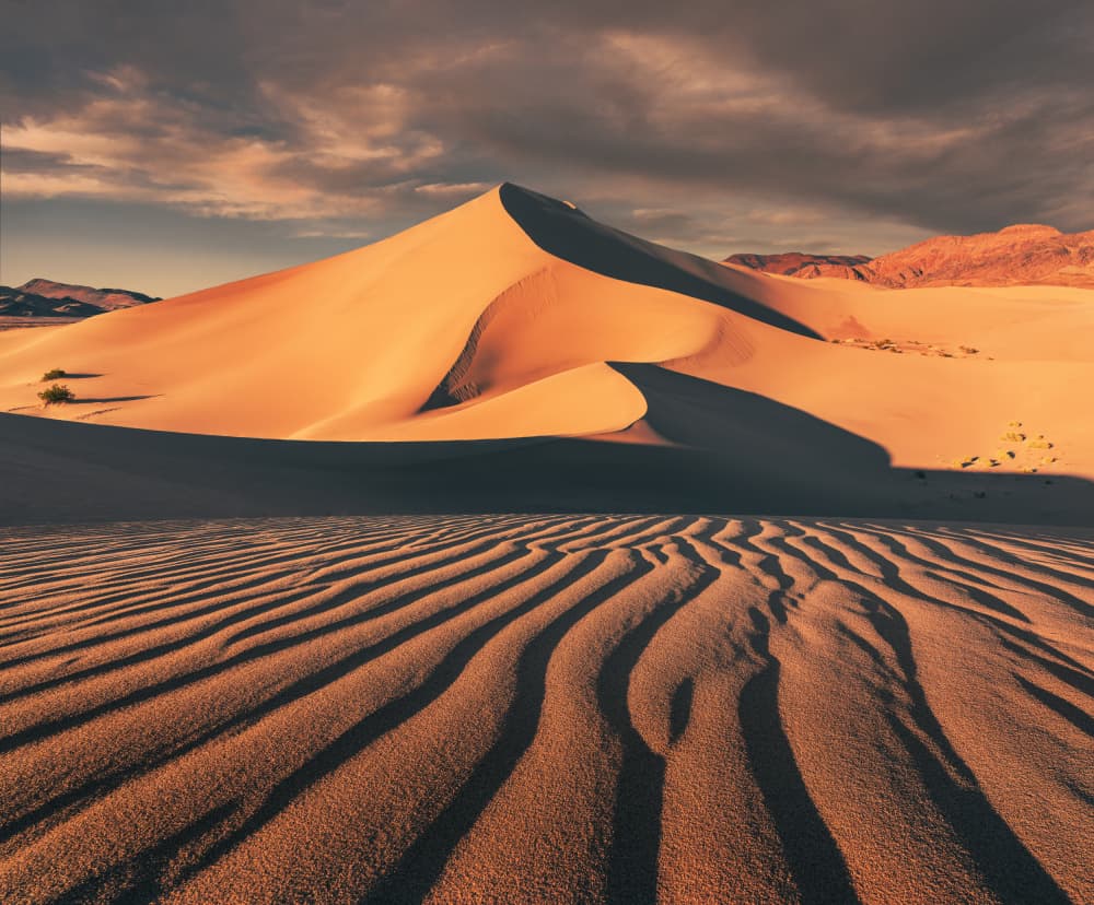 Golden Desert Dunes by Willa Wei — canvas wall art