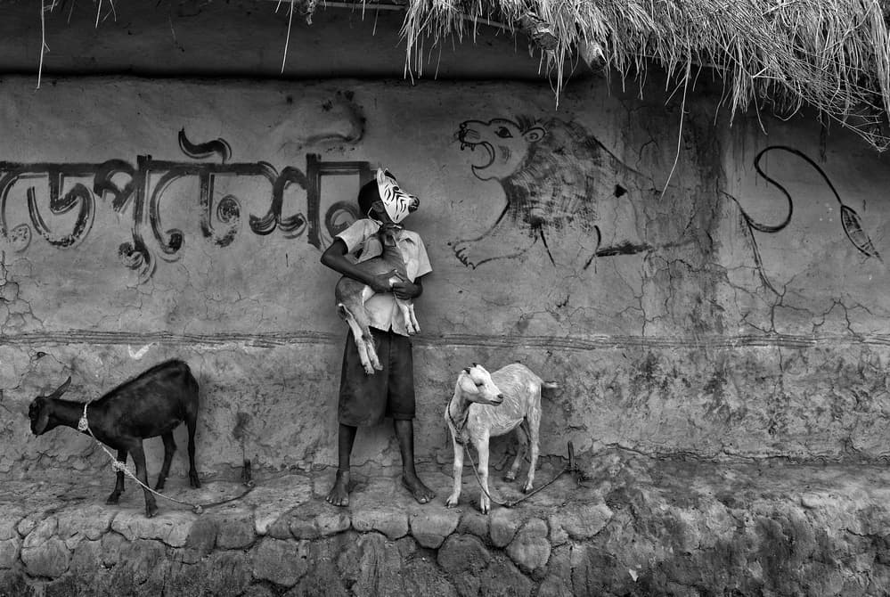 Boy Goats Lion Wall by Avishek Das — canvas wall art
