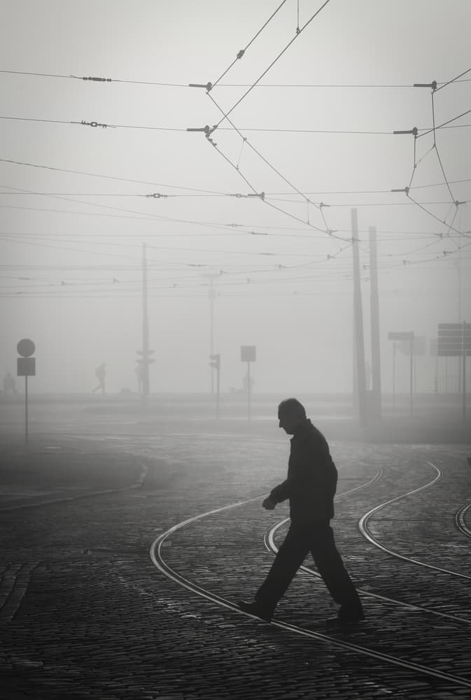 Urban Fog Silhouette by Anna Niemiec — canvas wall art