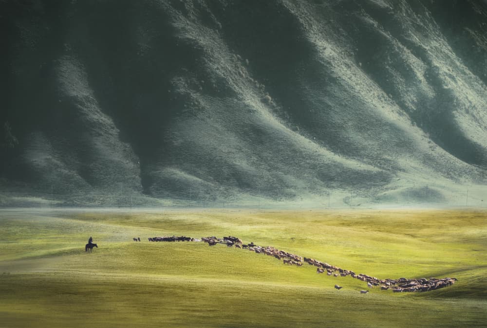 Mountain Shepherd and Flock by Gu and Hongchao — canvas wall art