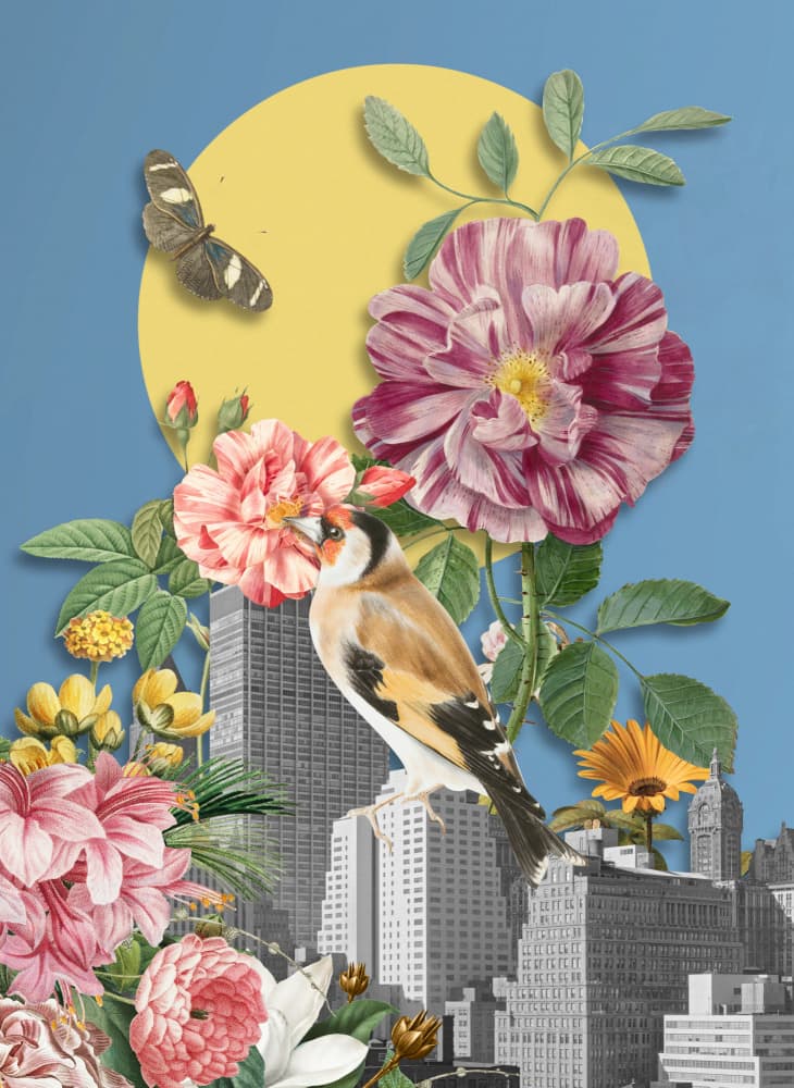 Goldfinch Cityscape Bloom by Marja van den Hurk — canvas wall art