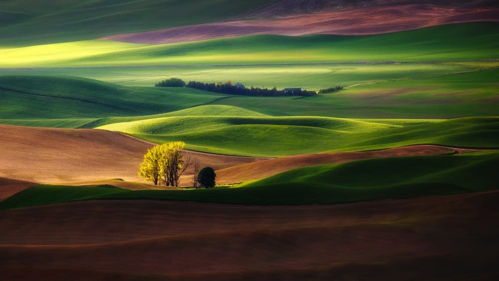 Rolling Hills Golden Light by James Lu — canvas wall art