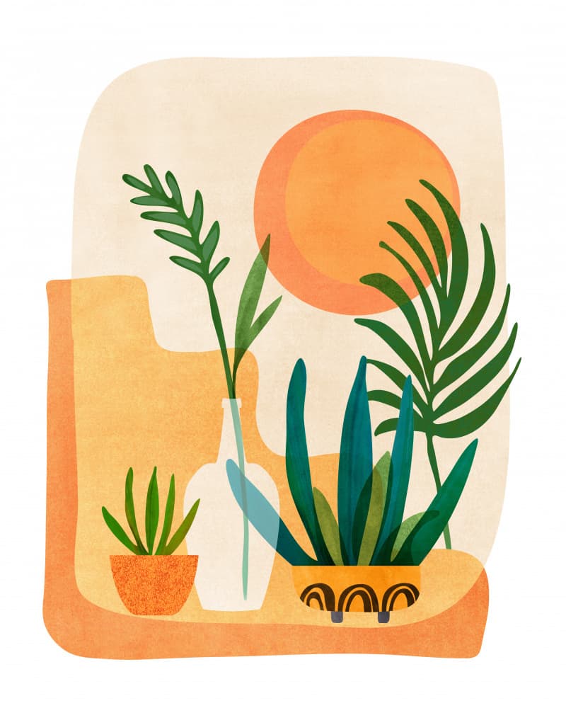 Desert Garden by Kristian Gallagher — canvas wall art