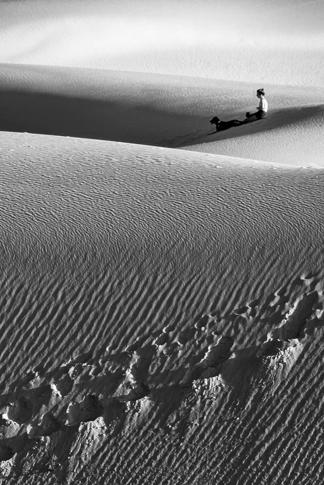 Peaceful Desert Companions by Aidong Ning — canvas wall art
