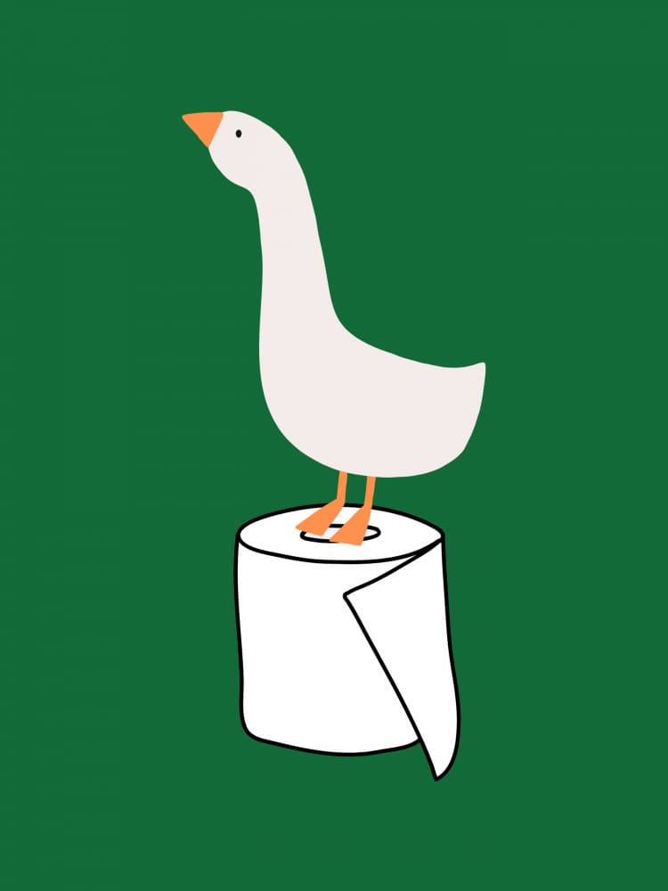 Goose on Toilet Paper by Jolly and Dash — canvas wall art