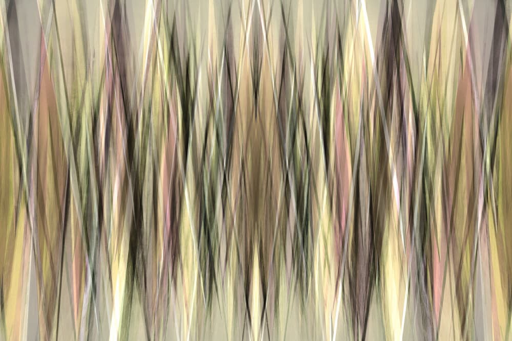 Earthy Abstract Lines by Christina Sillen — canvas wall art