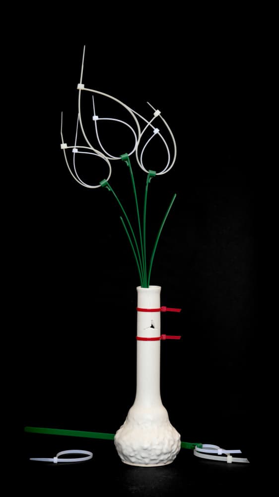 Minimalist Tie Flowers by FranzStaab — canvas wall art